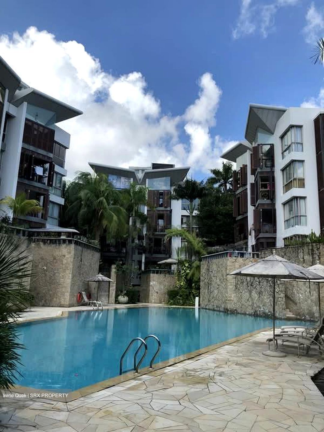 Palm Grove Condominium (D19), Condominium #558913991